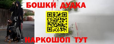 стафф Обь