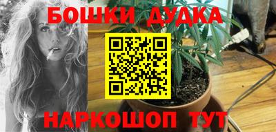стафф Обь