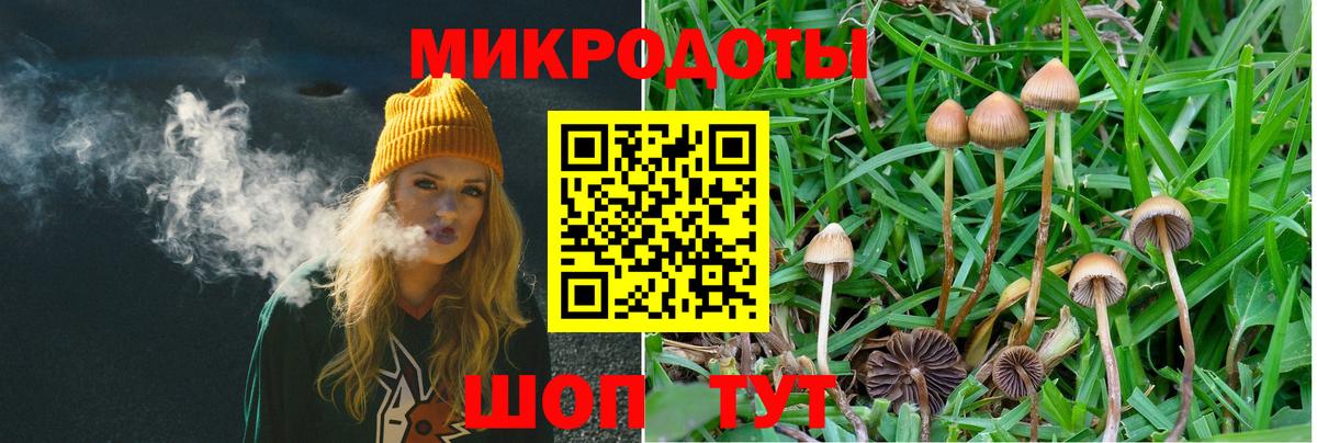 Псилоцибиновые грибы ЛСД Сызрань