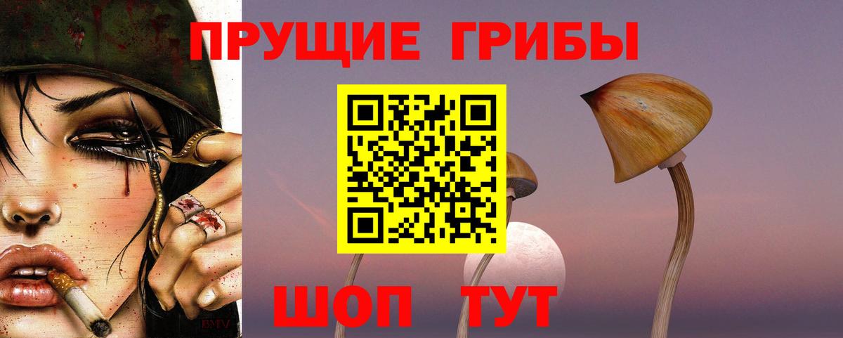 Галлюциногенные грибы Psilocybine cubensis  Псилоцибиновые грибы Cubensis  Вход с VPN  Сызрань 